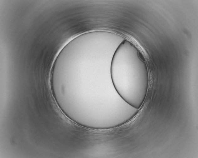 X0000115700908200912101212