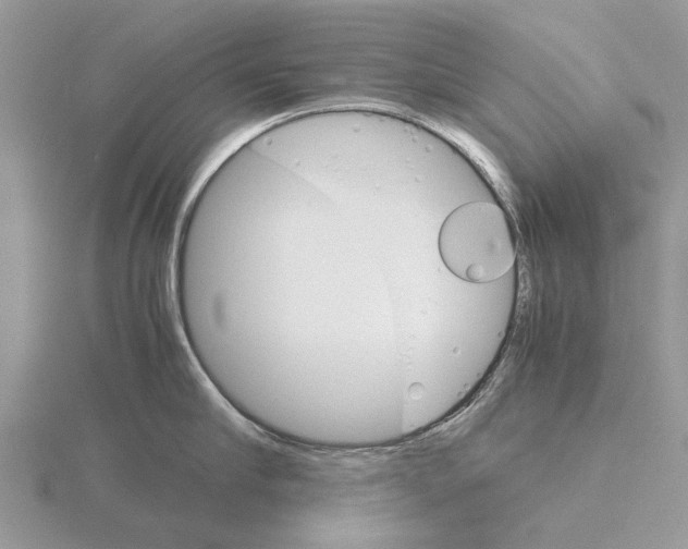 X0000115700910200912101212