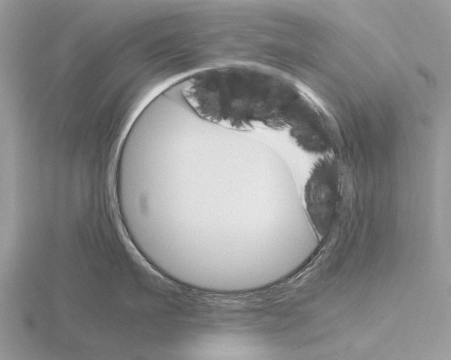 X0000115700911200912101212