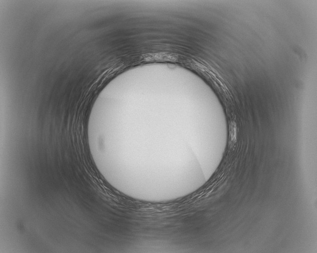 X0000115700915200912101211