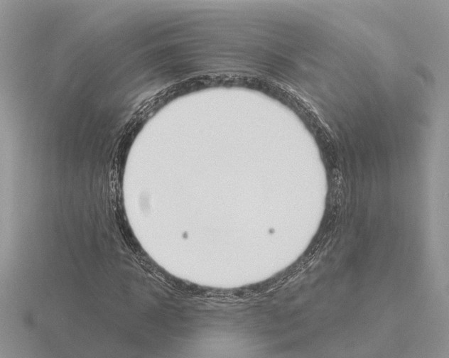 X0000115700918200912101211