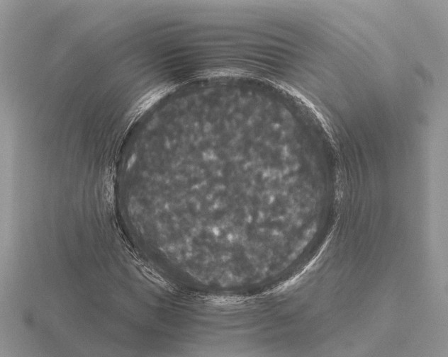 X0000115700921200912101212