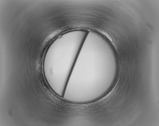 X0000115700922200912101212