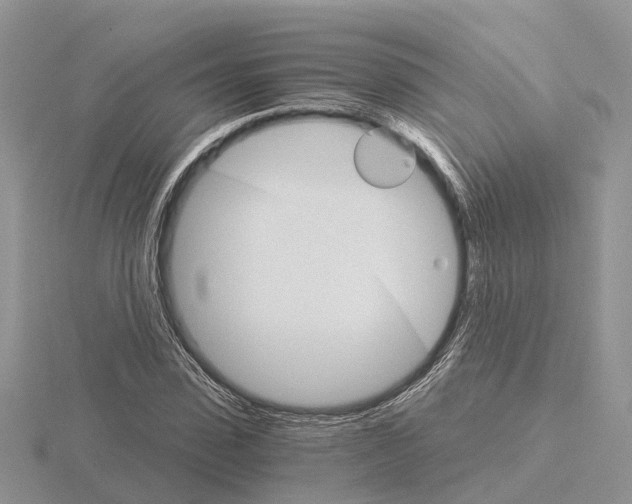 X0000115700923200912101212