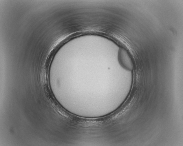 X0000115700925200912101212