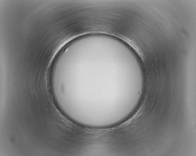 X0000115700926200912101212