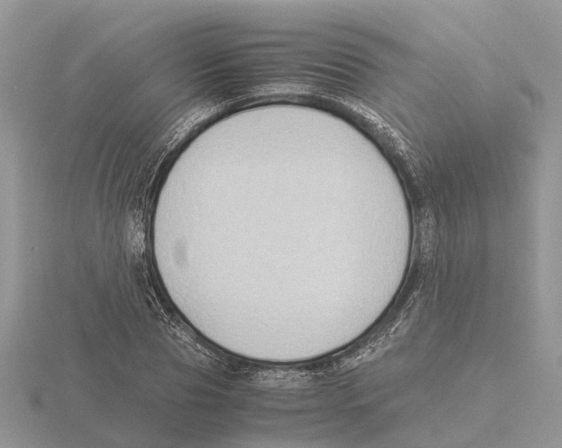 X0000115700929200912101212