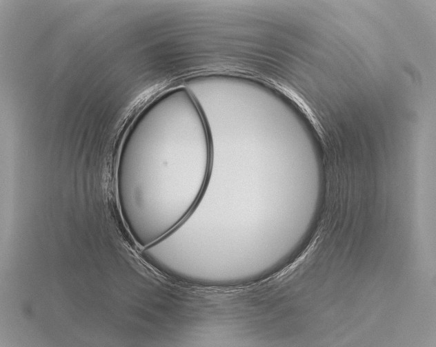 X0000115700930200912101212