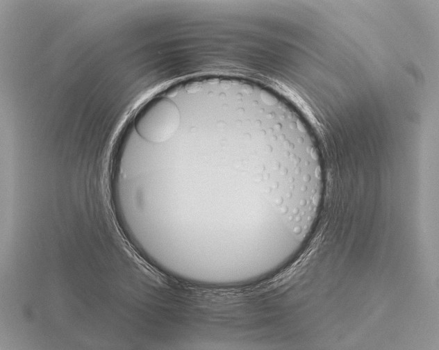 X0000115700931200912101212