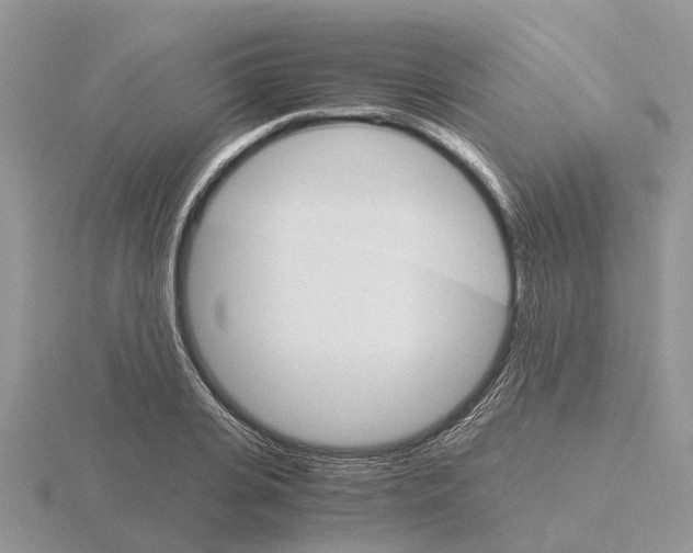 X0000115700935200912101212