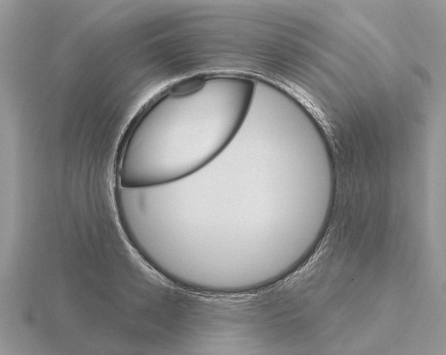 X0000115700942200912101212