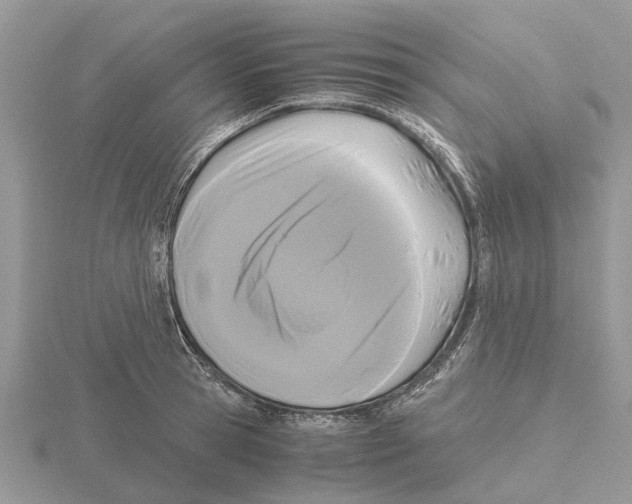 X0000115700945200912101212