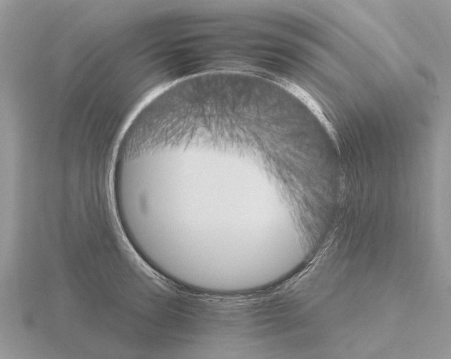 X0000115700947200912101212