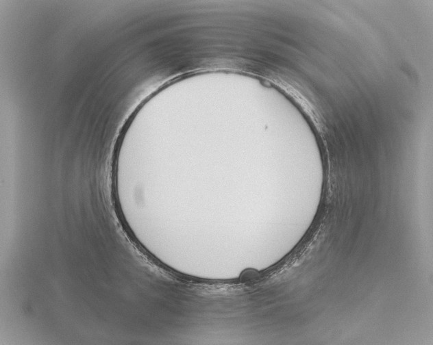 X0000115700949200912101212