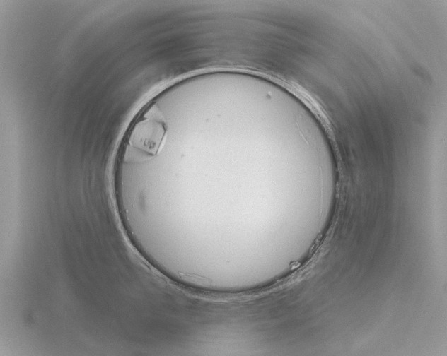 X0000115700950200912101212