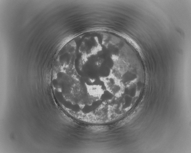 X0000115700953200912101212