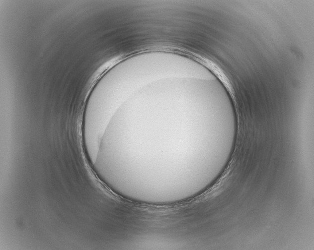 X0000115700954200912101212