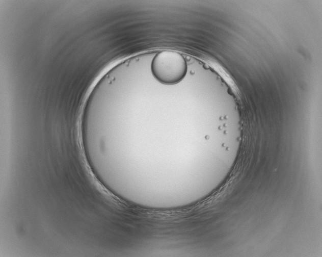 X0000115700955200912101212