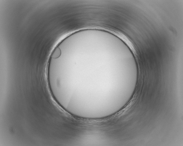 X0000115700958200912101212