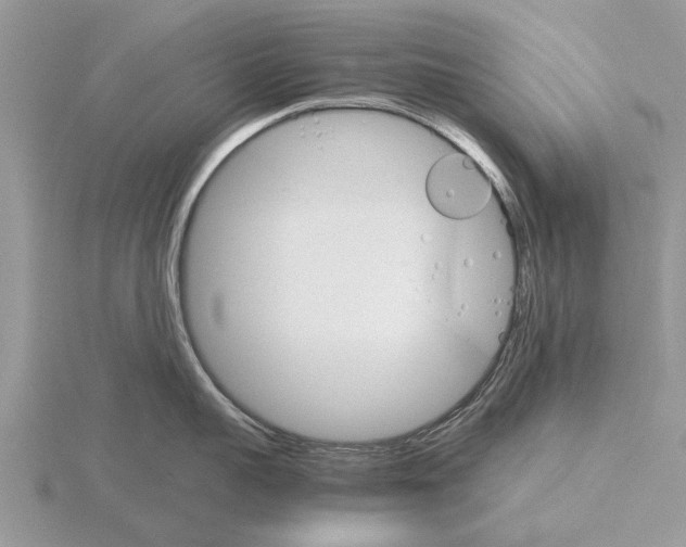 X0000115700959200912101212