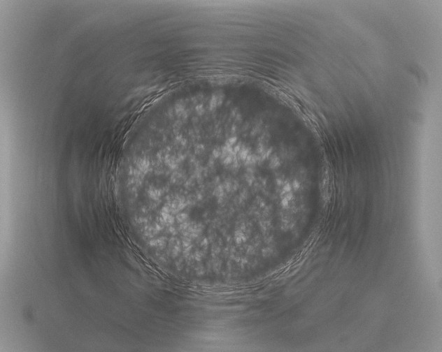 X0000115700962200912101211