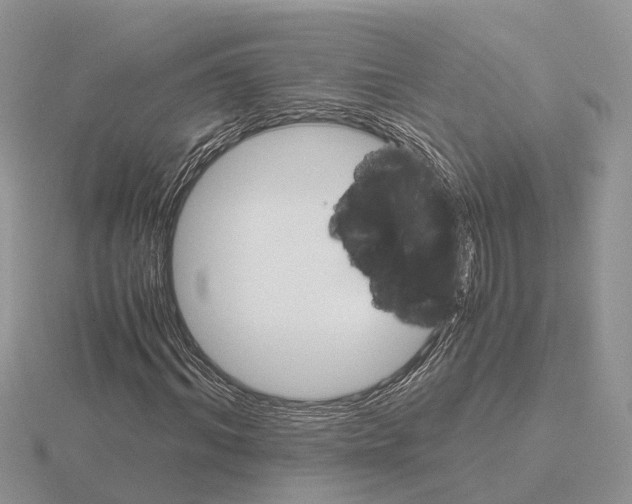 X0000115700964200912101211