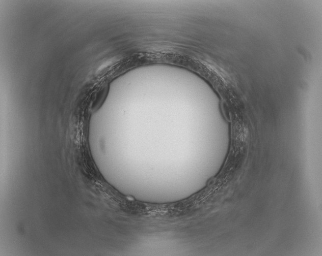 X0000115700965200912101211