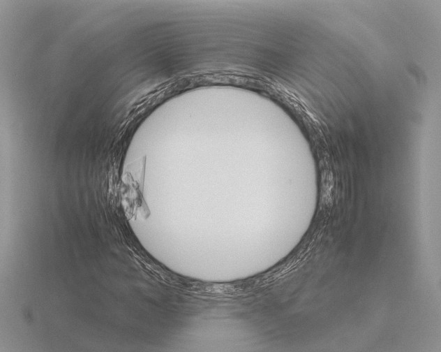 X0000115700966200912101211