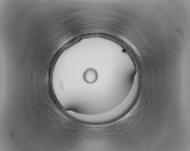 X0000115700969200912101211