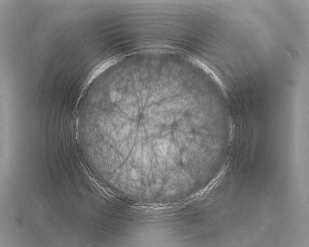 X0000115700970200912101211