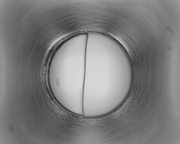 X0000115700971200912101211