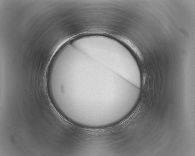 X0000115700972200912101211