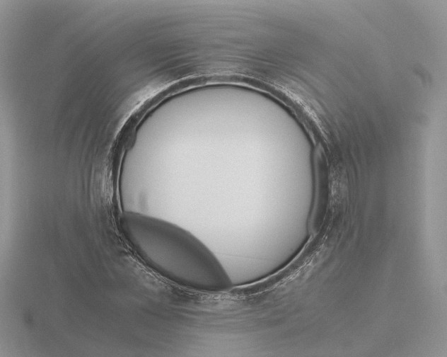 X0000115700973200912101211