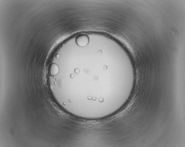 X0000115700974200912101211