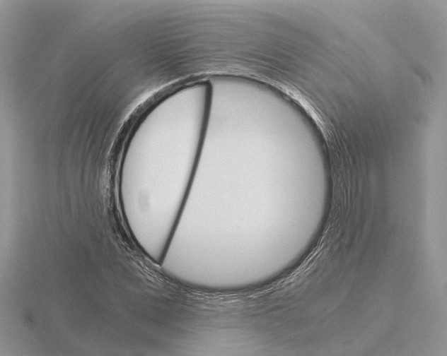 X0000115700975200912101211