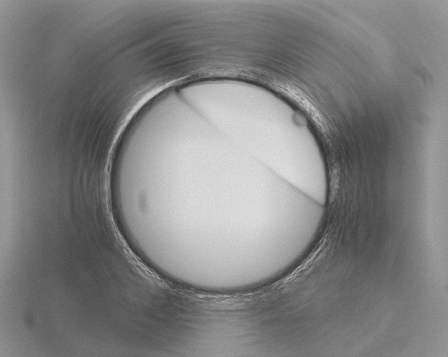 X0000115700976200912101211