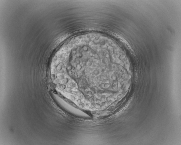 X0000115700977200912101211