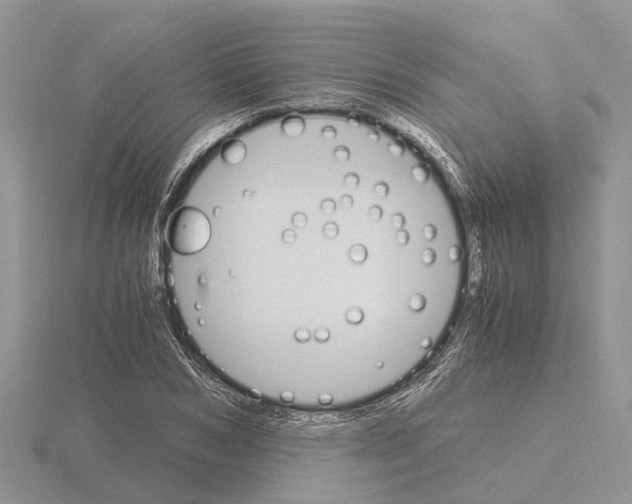 X0000115700978200912101211