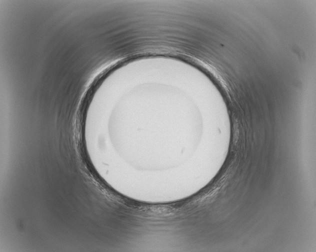 X0000115700979200912101211