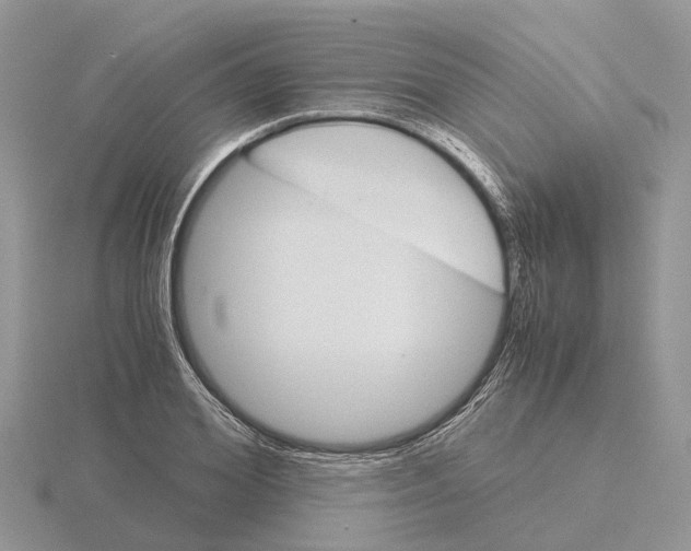 X0000115700980200912101211