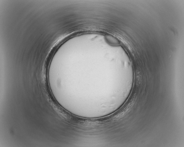 X0000115700981200912101211