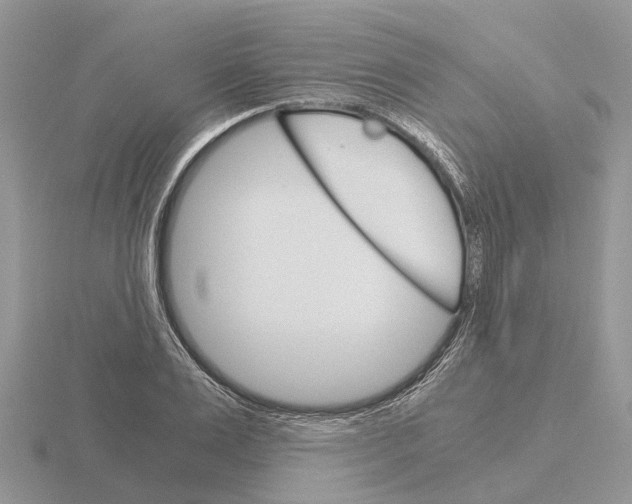 X0000115700983200912101211