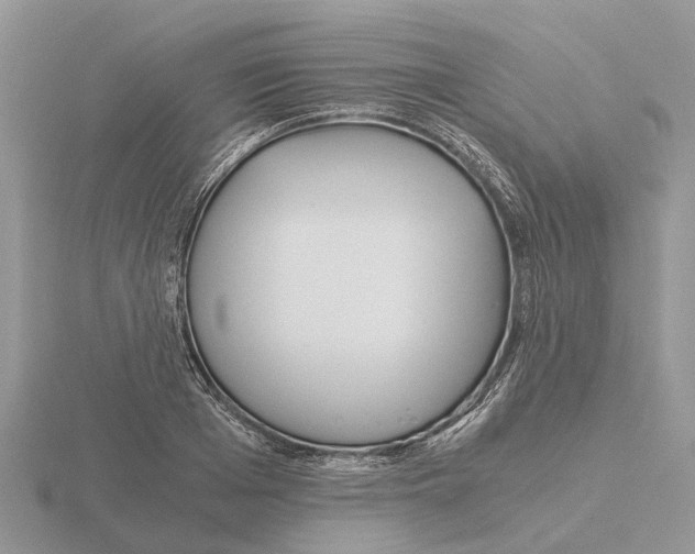 X0000115700985200912101211