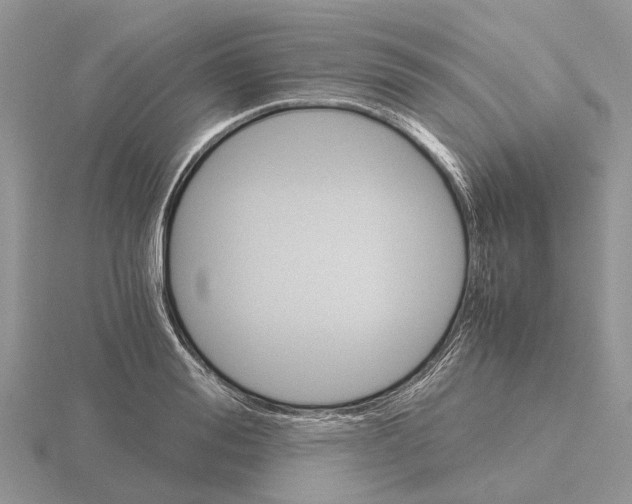 X0000115700988200912101211