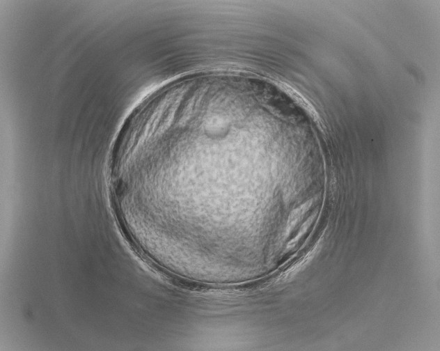 X0000115700989200912101211