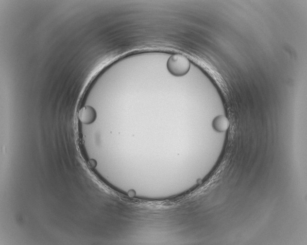 X0000115700990200912101211