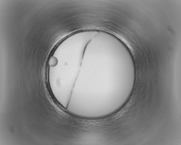 X0000115700991200912101211