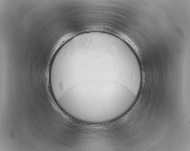 X0000115700994200912101211