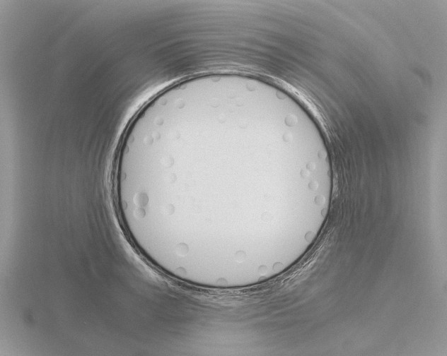 X0000115700995200912101211