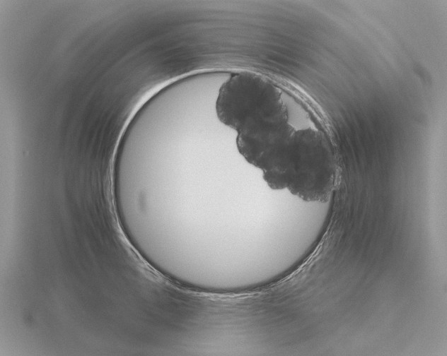 X0000115700996200912101211